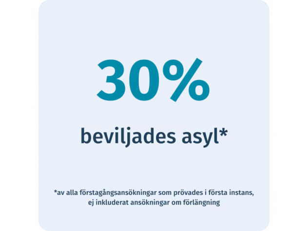Statistik om hur många som beviljades asyl 2024